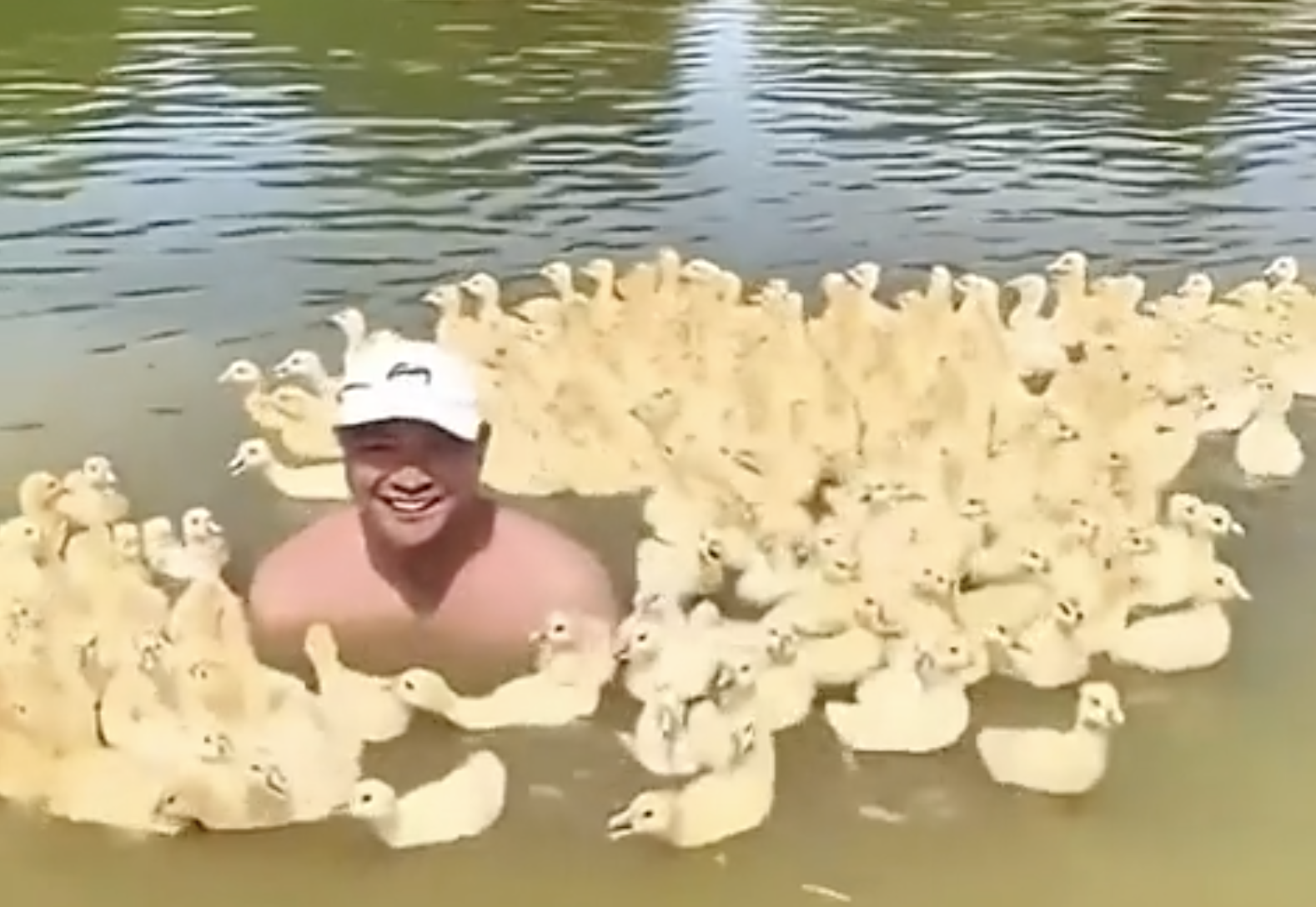 When You're Suddenly A Duck Dad: Pond Edition